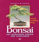 Bonsai aus heimischen Bäumen und Sträuchern